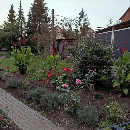Apartment Haus Irene Berga (Saxony-Anhalt)