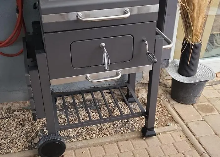 Haus Irene 아파트 *